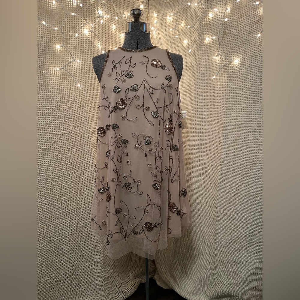 Altar’d State Small Floral Beaded Sequined Above Knee Sheer Embroidered Mini